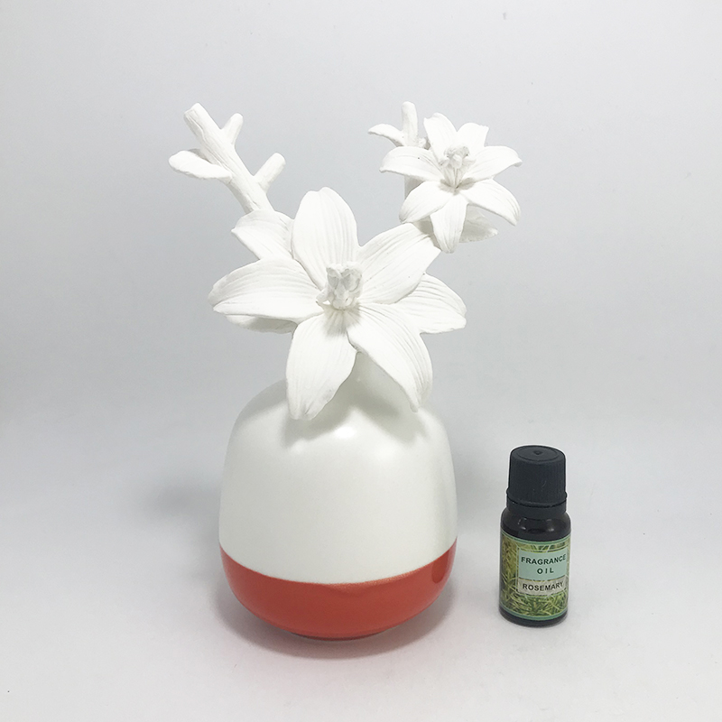 UK Customized ceramic flower diffuser with private label